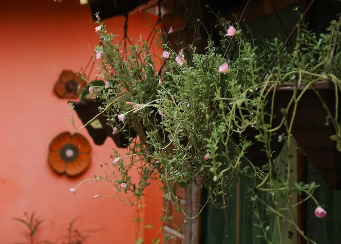 Pousada Vitória do LopesPousada